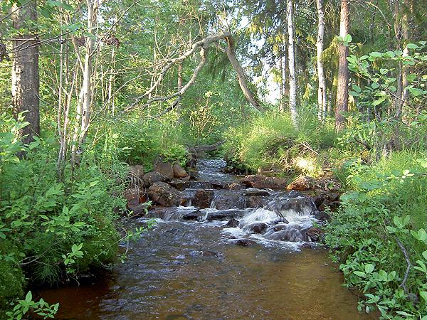 Kesäinen Kattilakosken maisema Pellossa